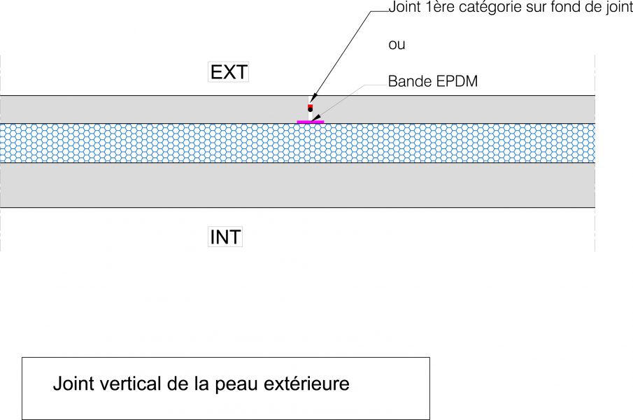 joint-vertical-de-la-peau-exterieure.jpg